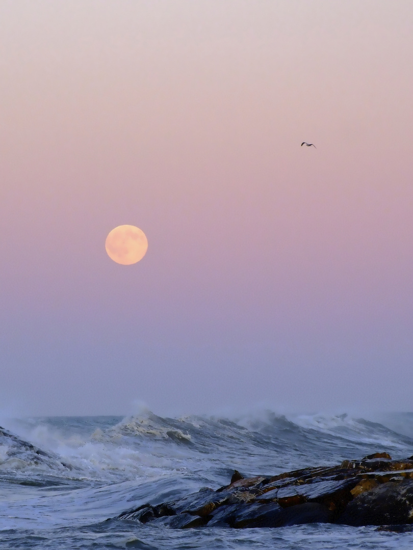 Der Mond und das Meer