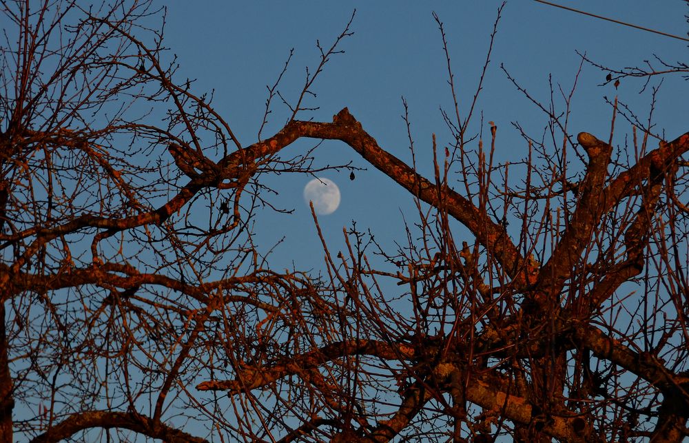 Der Mond und die Abendsonne