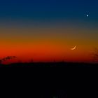 Der Mond und die Venus