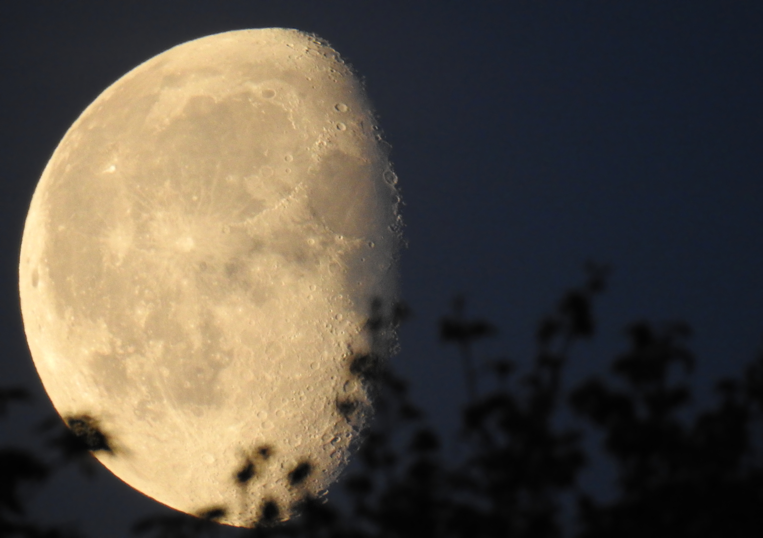 DER MOND - UNSER STÄNDIGER BEGLEITER IM KOSMOS.