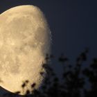 DER MOND - UNSER STÄNDIGER BEGLEITER IM KOSMOS.