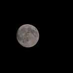 Der Mond vom 11.6.2014