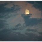 Der Mond vom 28-8-2020