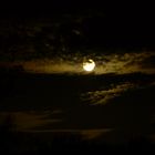 "Der Mond von einem Wolkenhügel ..." (J.W.v.G.)