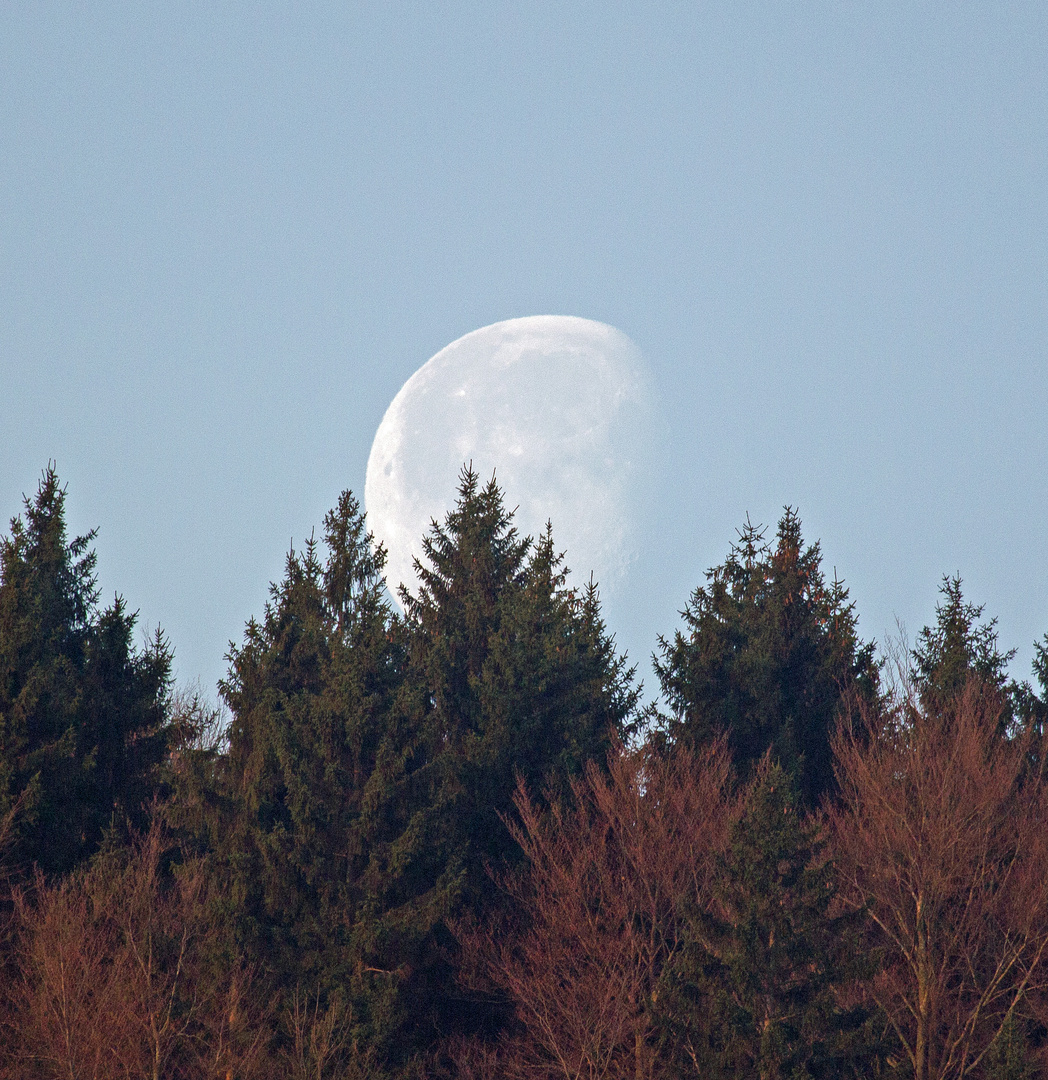 Der Mond vor dem Untergang