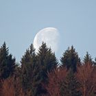 Der Mond vor dem Untergang