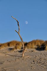 Der Mond wacht über mich