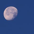 Der Mond war am 24.10. 8.14 Uhr auch noch mit dabei ...