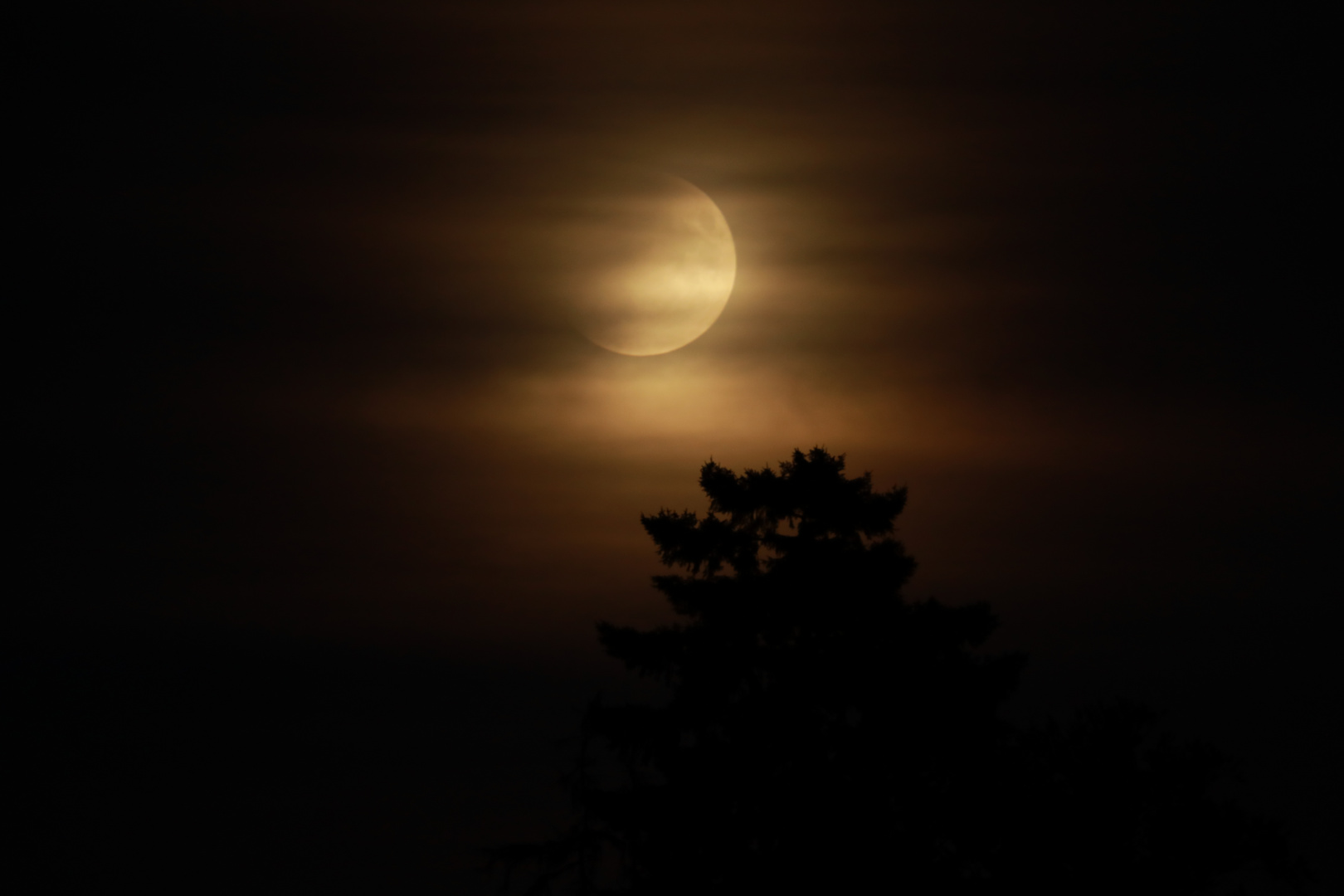 Der Mond wartet auf seine Finsternis 