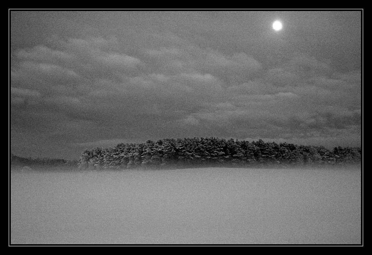 Der Mond zieht den Nebel übers Feld