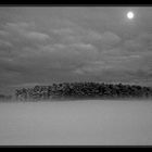 Der Mond zieht den Nebel übers Feld