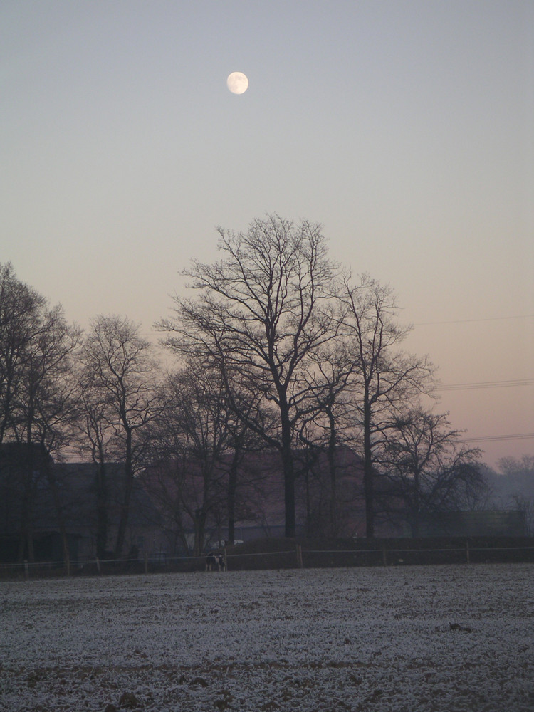 Der Mond zur Dämmerung