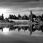 Der Mono Lake