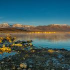 Der Mono-Lake im Sonnenaufgang