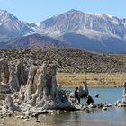 Der Mono Lake vor dem Massiv des Yosemite Nat. Parks, CA, USA