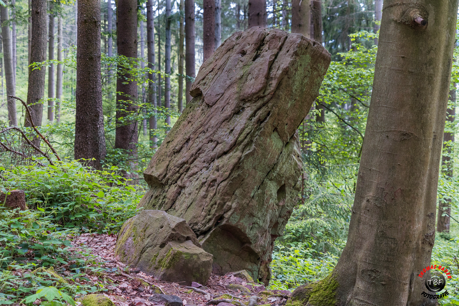 Der Monolith Foto & Bild deutschland, europe, baden württemberg