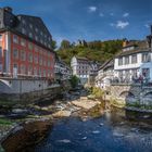 Der Monschau Evergreen