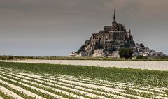 Der Mont-Saint-Michel