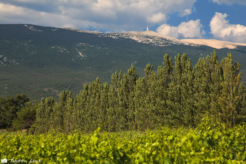 der Mont Ventoux - gesehen durch meinen Pol Filter