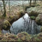 der Moorlehrpfad Stengelhaide