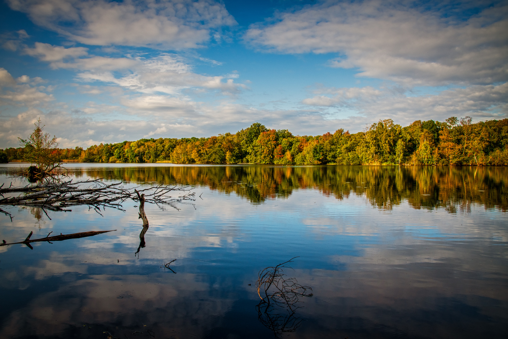 Der Moorsee