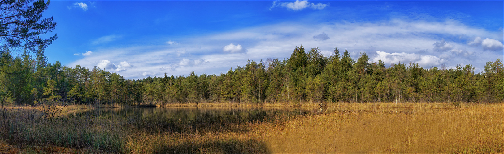 Der Moorsee