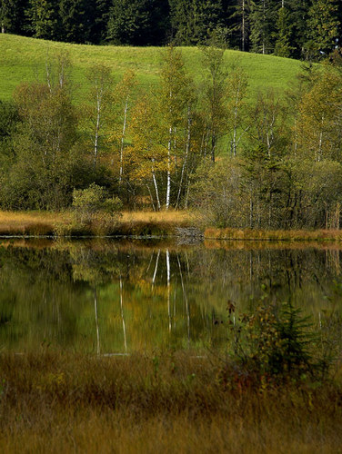Der Moorsee im Herbst