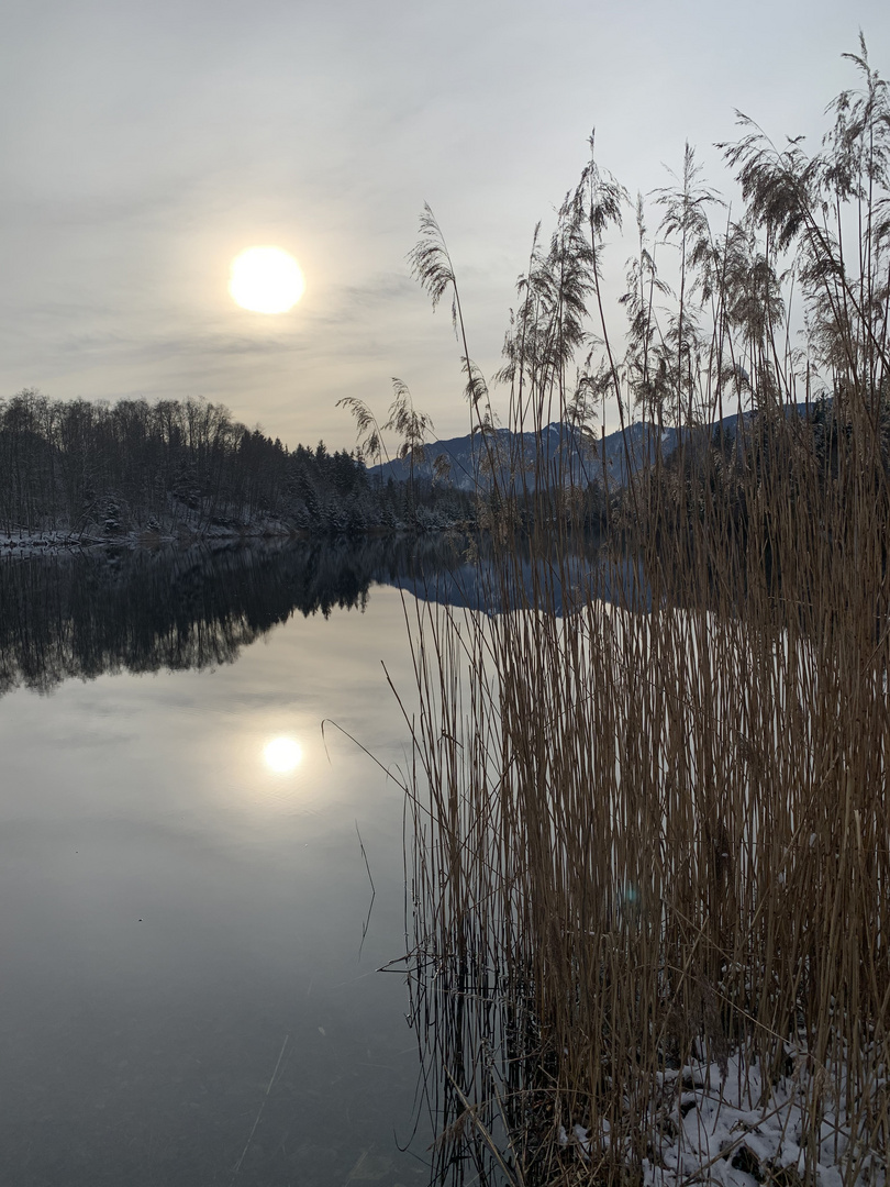 Der Moorsee im Murnauer Moos