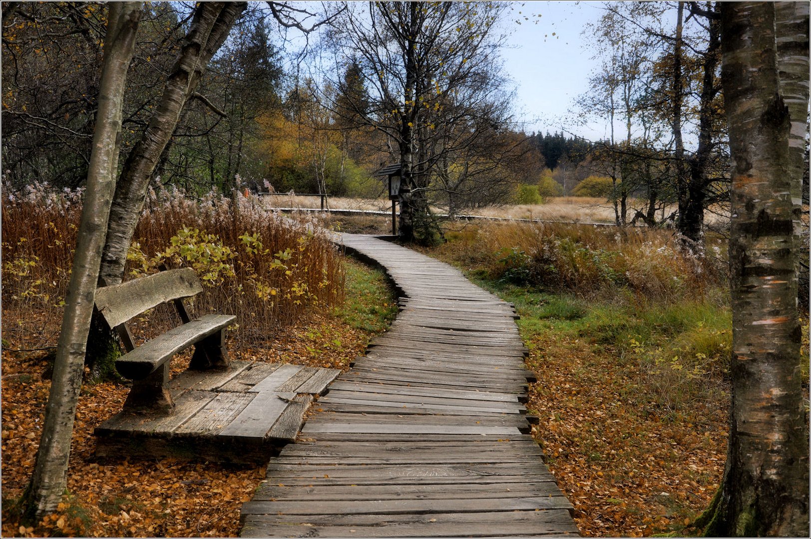 der Moorweg....