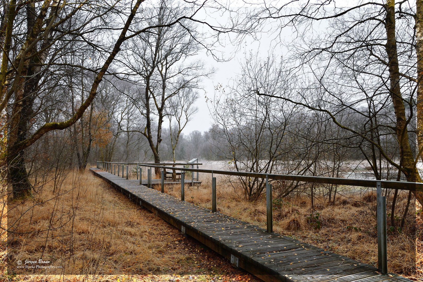 Der Moorweg im Herbst