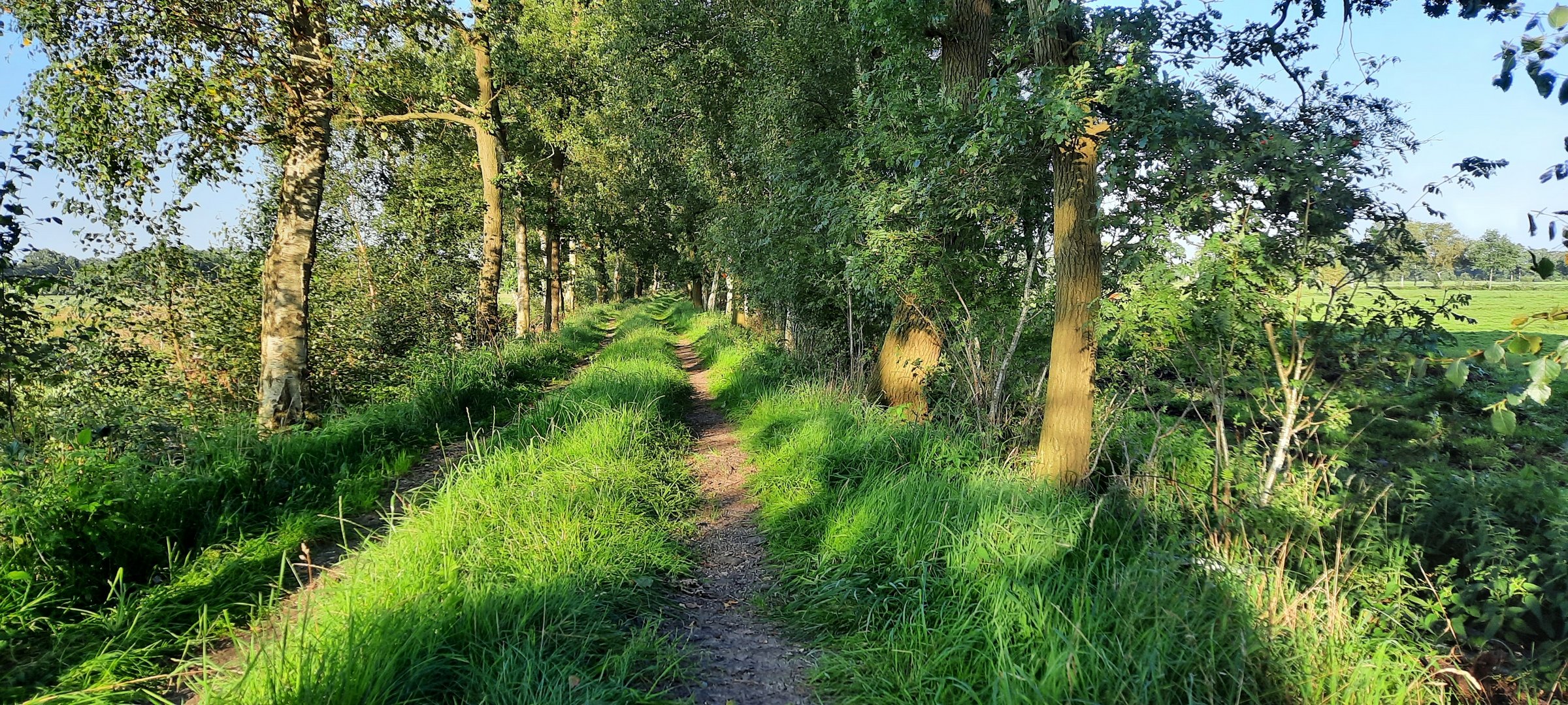 der Moorweg ist sehr lang ... 