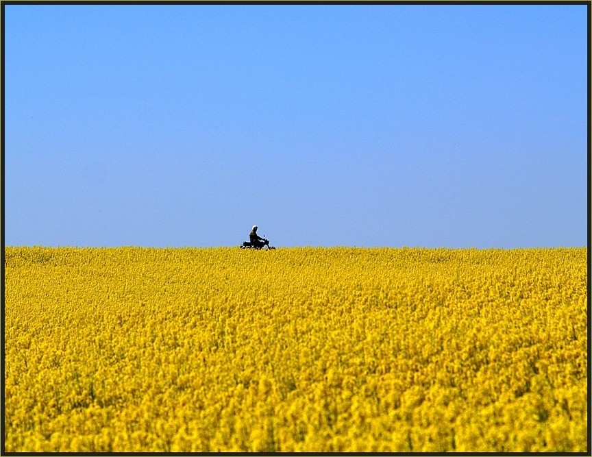 Der Mopedfahrer....