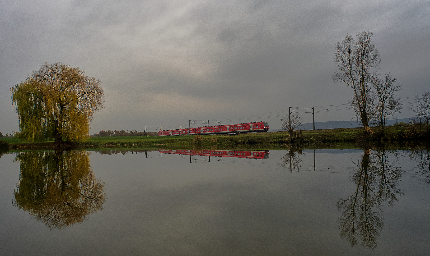 Der Mops im Karpfenteich