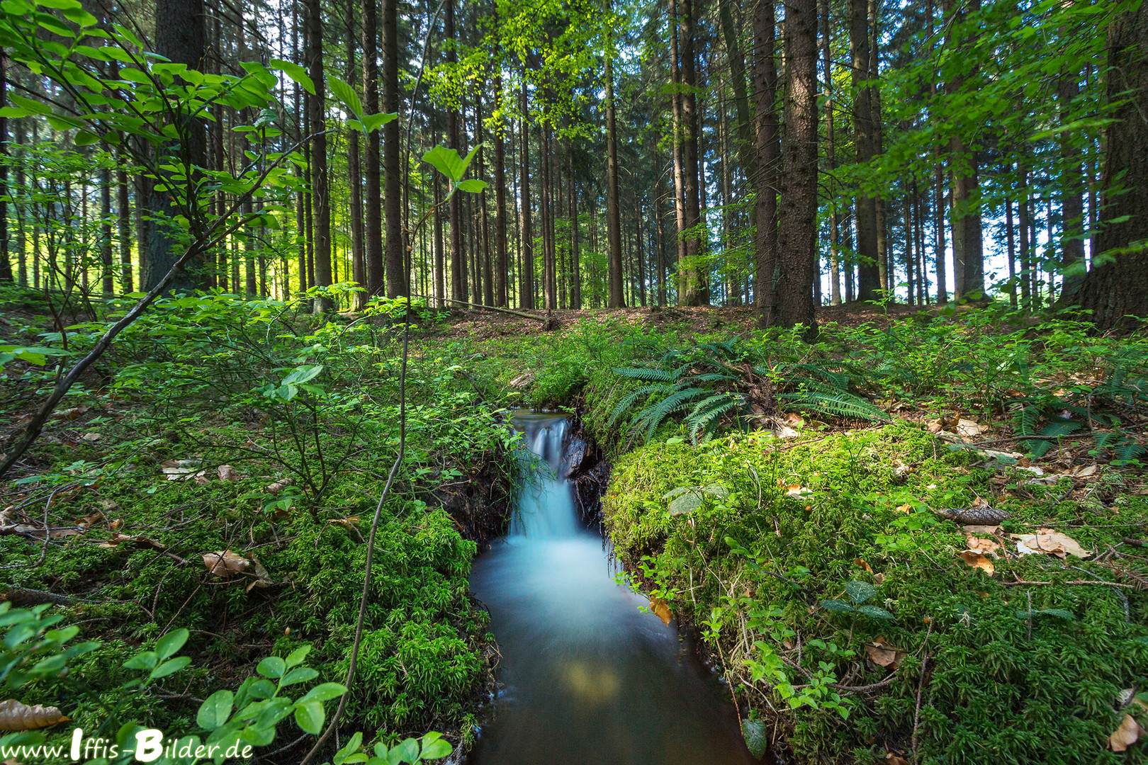 Der Morbach im Ortelsbruch. Foto & Bild landschaft, bach, fluss & see