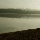 der morgen am brombachsee.