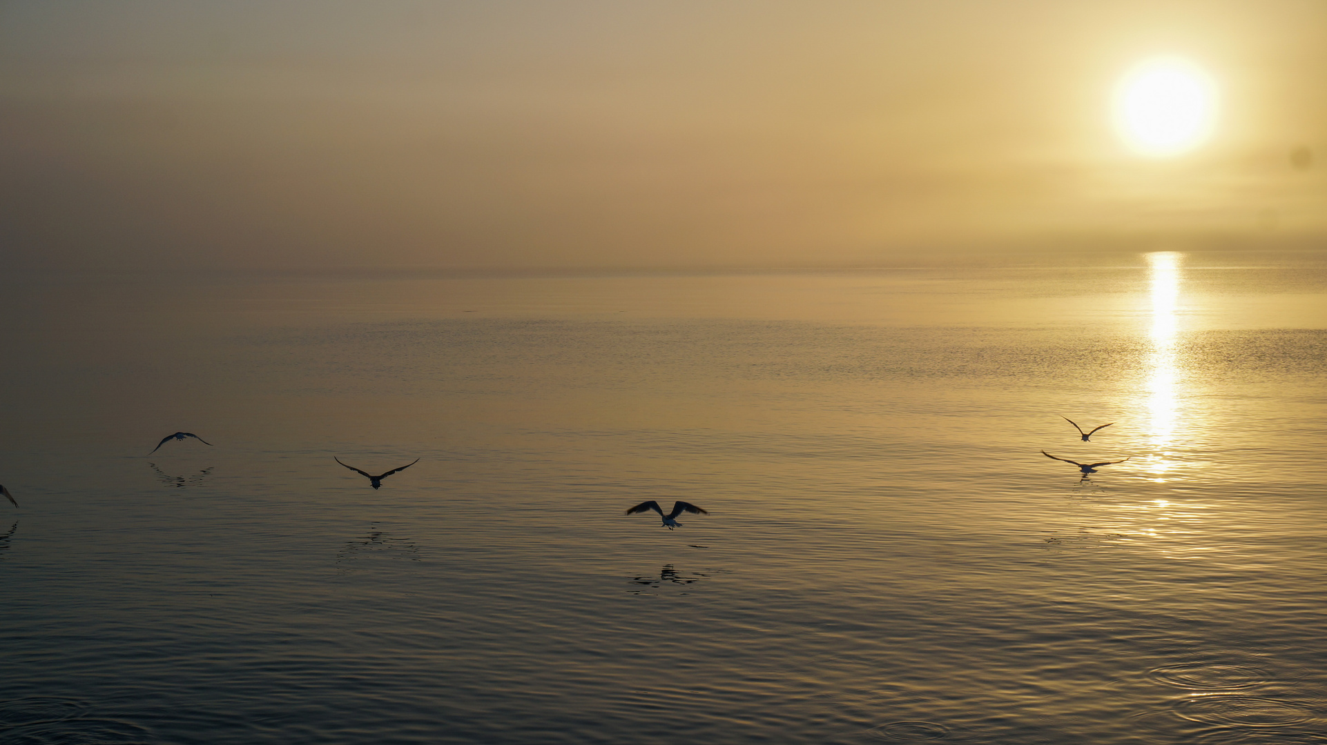 Der Morgen am Meer bei Skagen 1