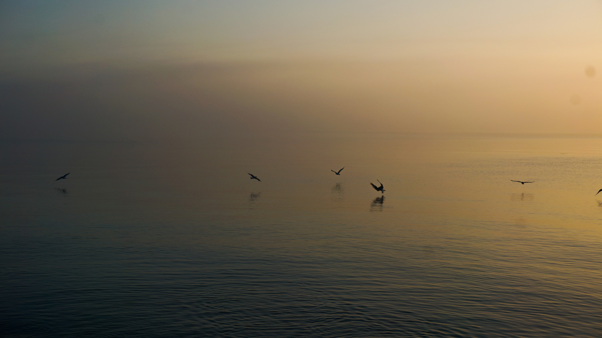 Der Morgen am Meer bei Skagen 2