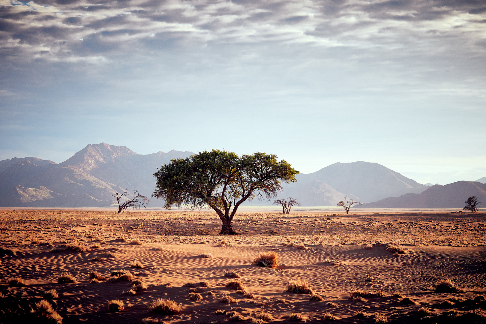 Der Morgen am Rande der Namib