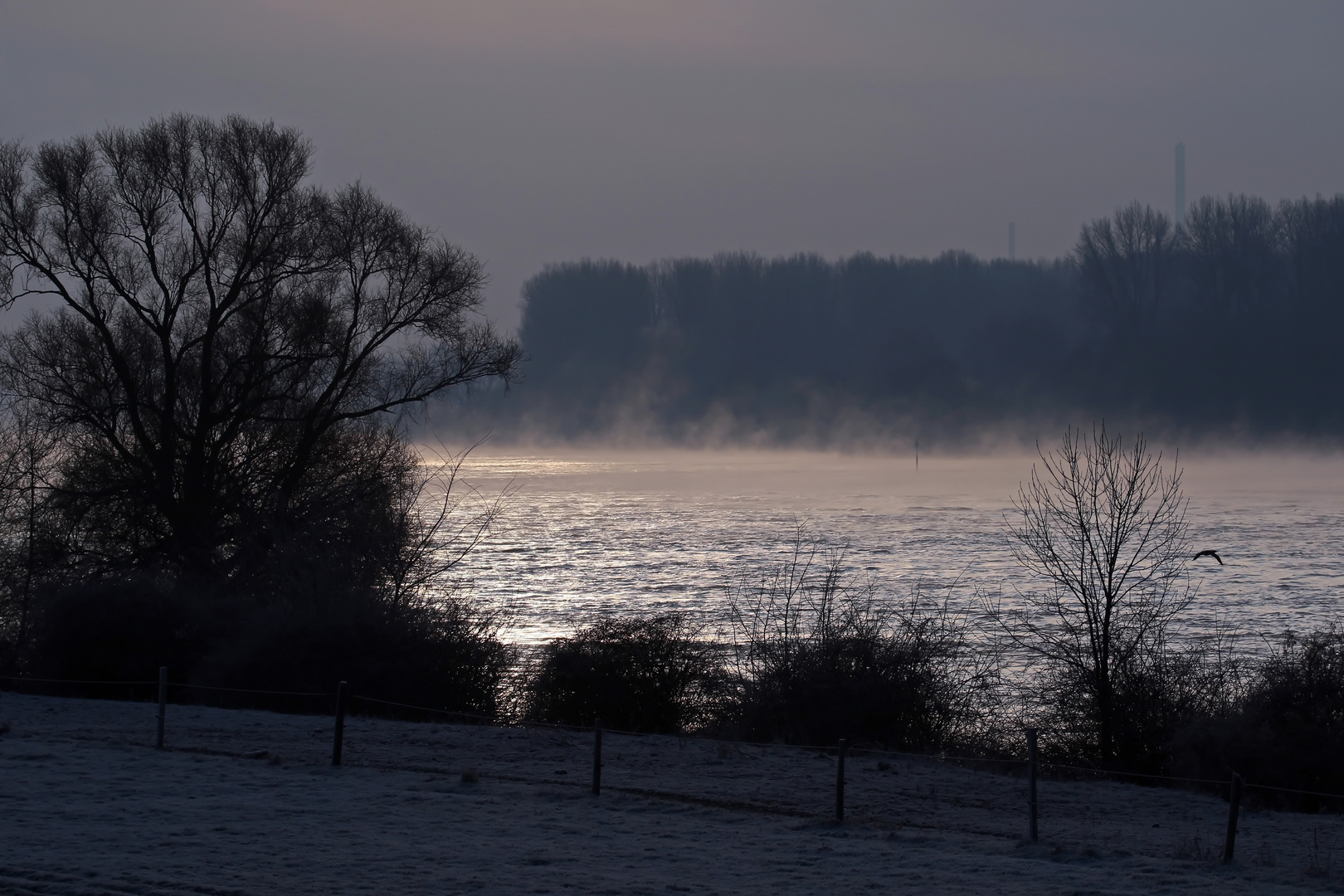 Der Morgen am Rhein