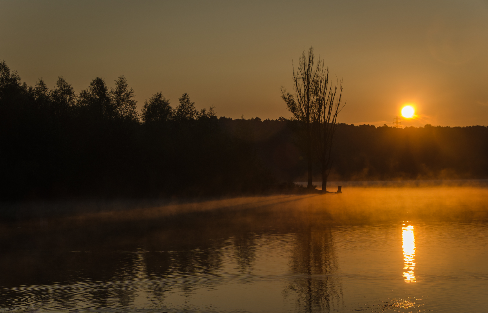 der Morgen am See (2046)