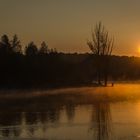 der Morgen am See (2046)