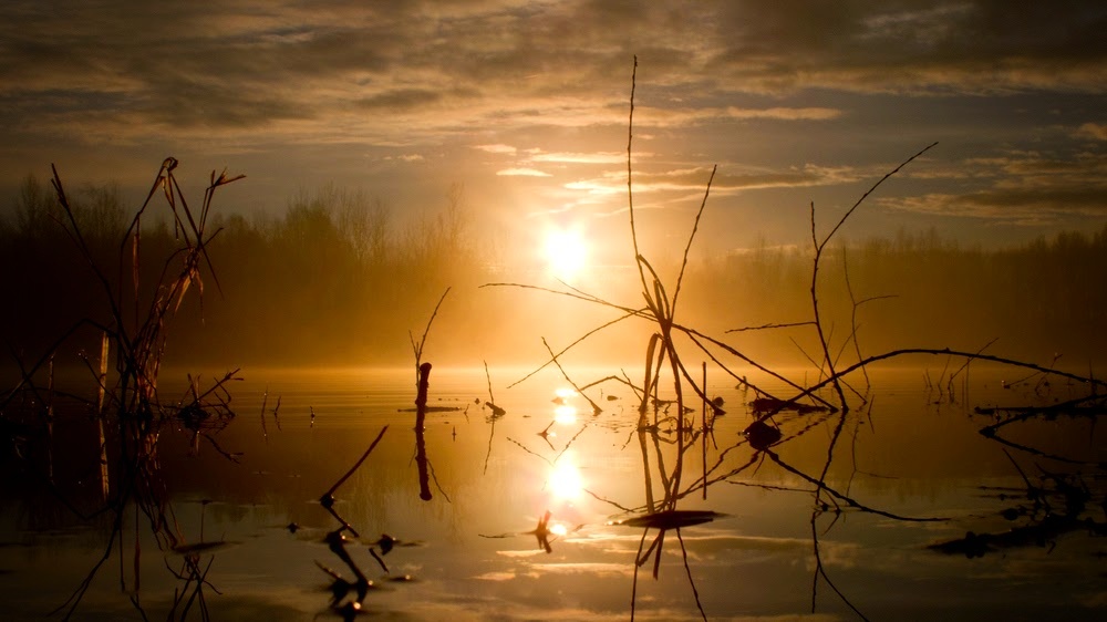 der morgen am see 