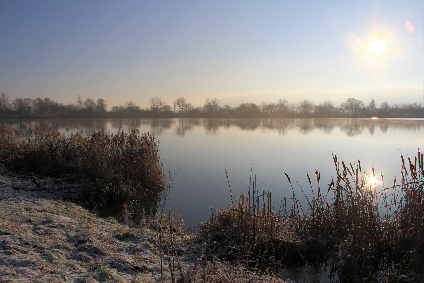 Der Morgen am See