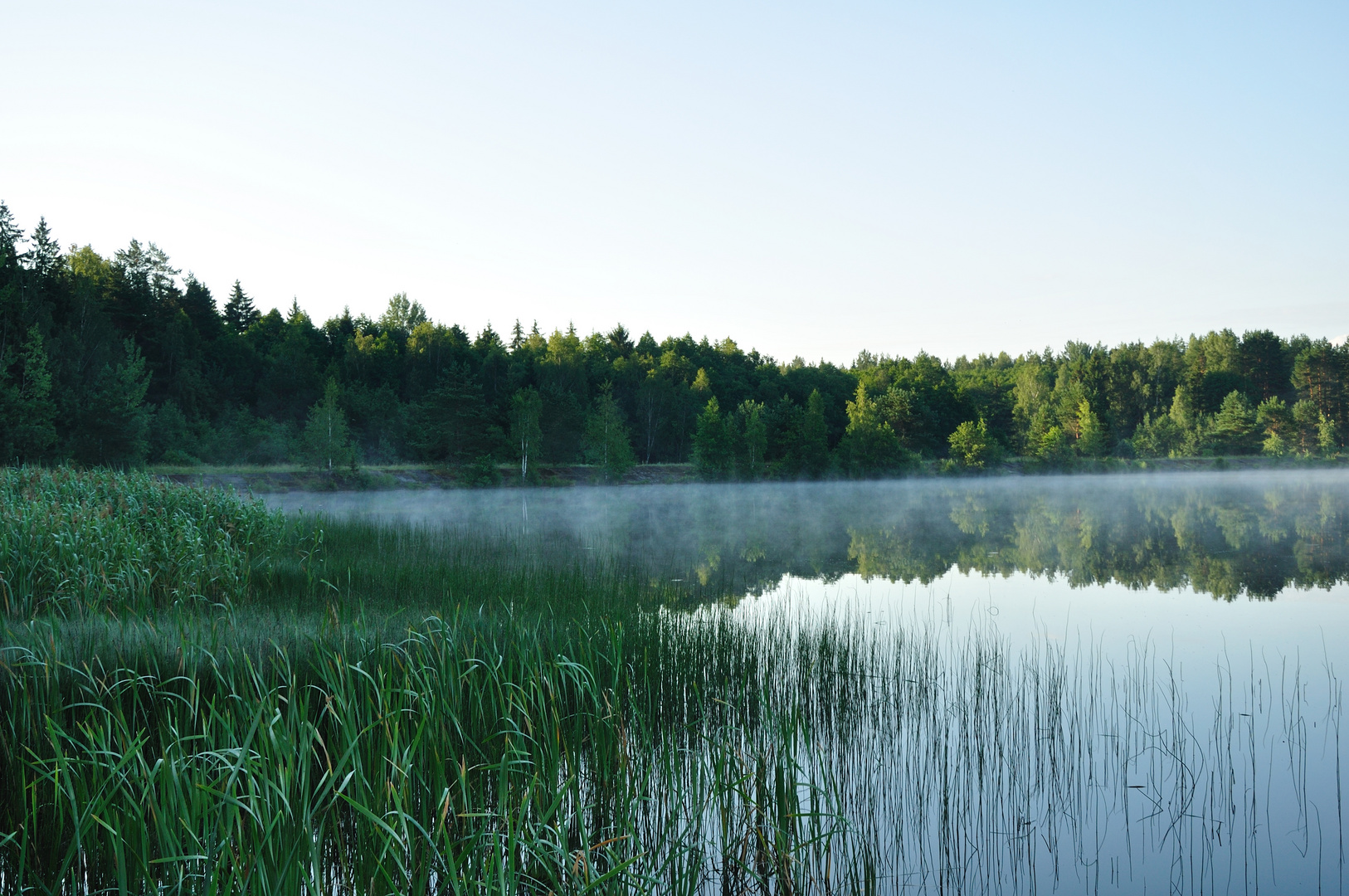 der Morgen am See