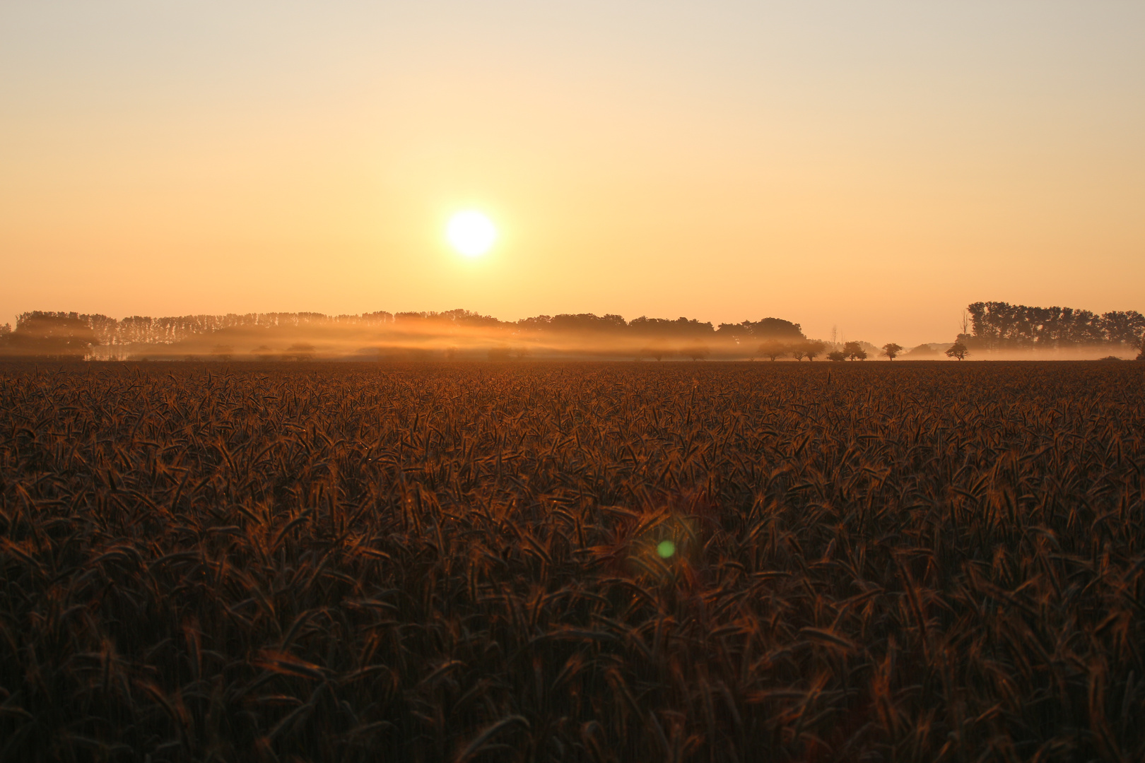 Der Morgen am Siebenschläfer