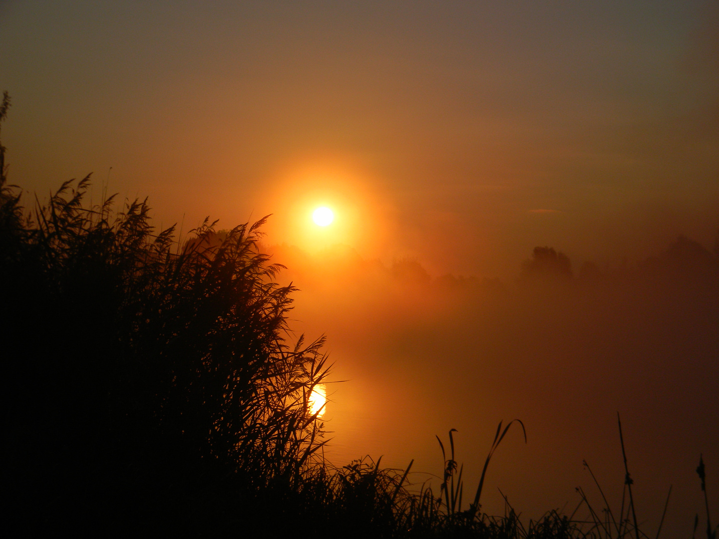 Der Morgen beginnt