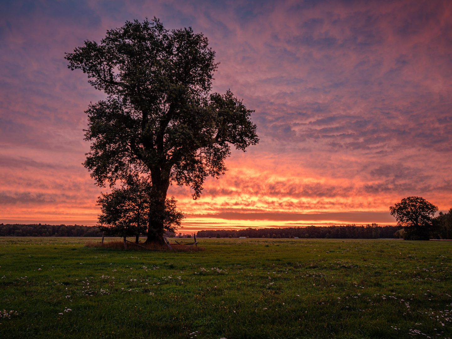 Der Morgen bevor der Regen kam