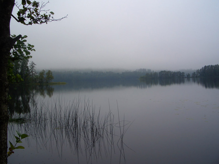 Der Morgen danach