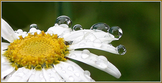 Der Morgen danach IV