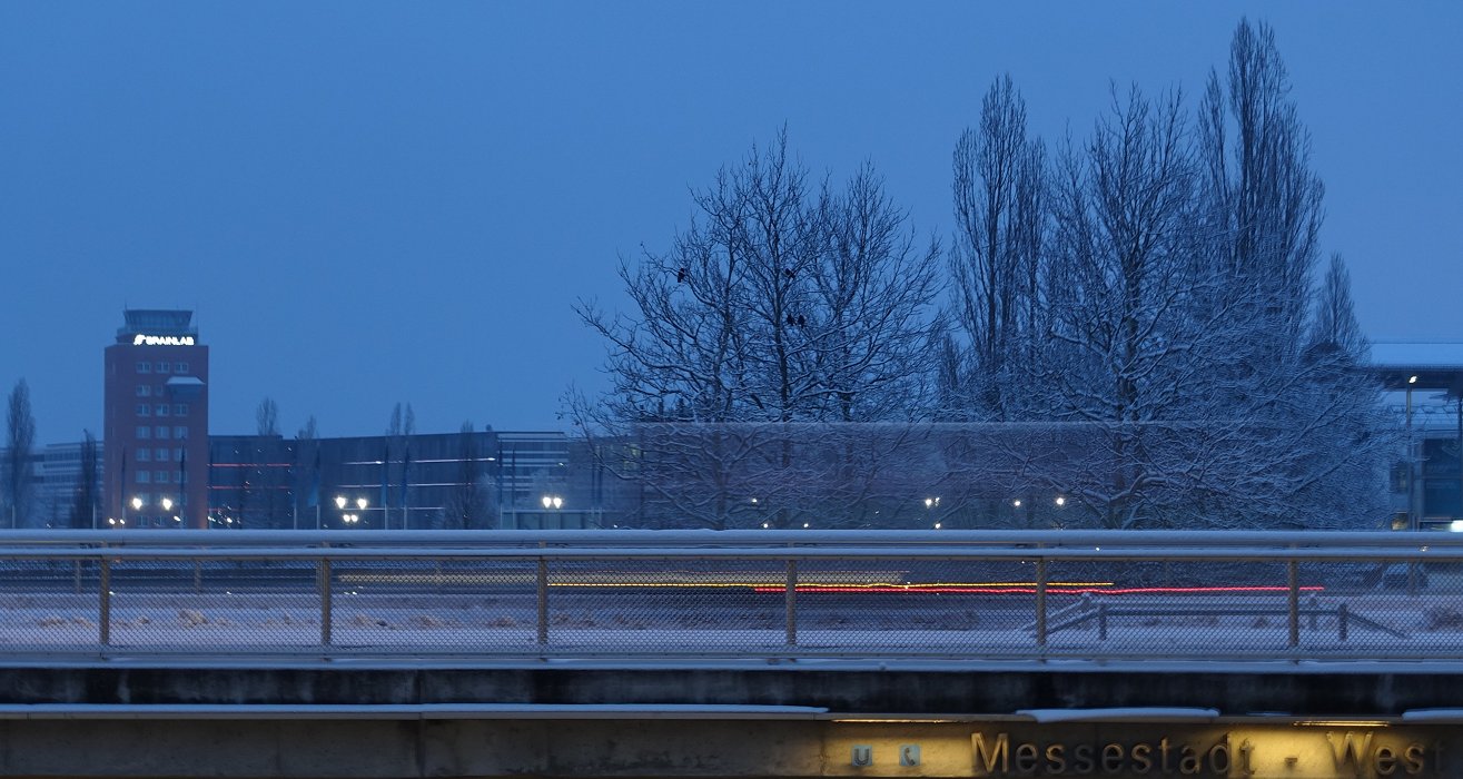 Der Morgen, das Licht, die Vögel